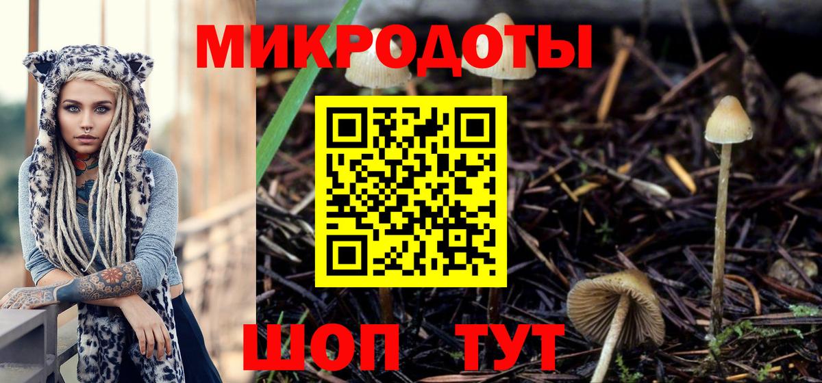 Галлюциногенные грибы GOLDEN TEACHER Тобольск